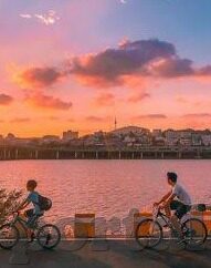 大象传媒天天看-探索大象传媒的天天看，新媒体时代下的文化传播新视角