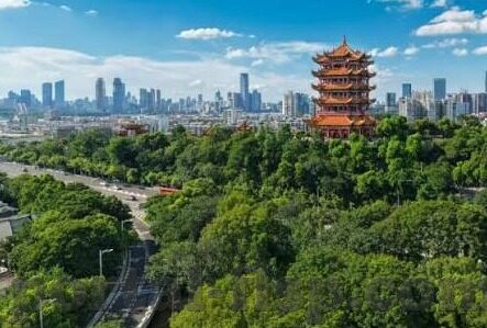 麻豆视频app苹果下载-麻豆视频App在苹果设备上的便捷下载指南